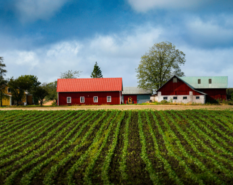 rural farm land